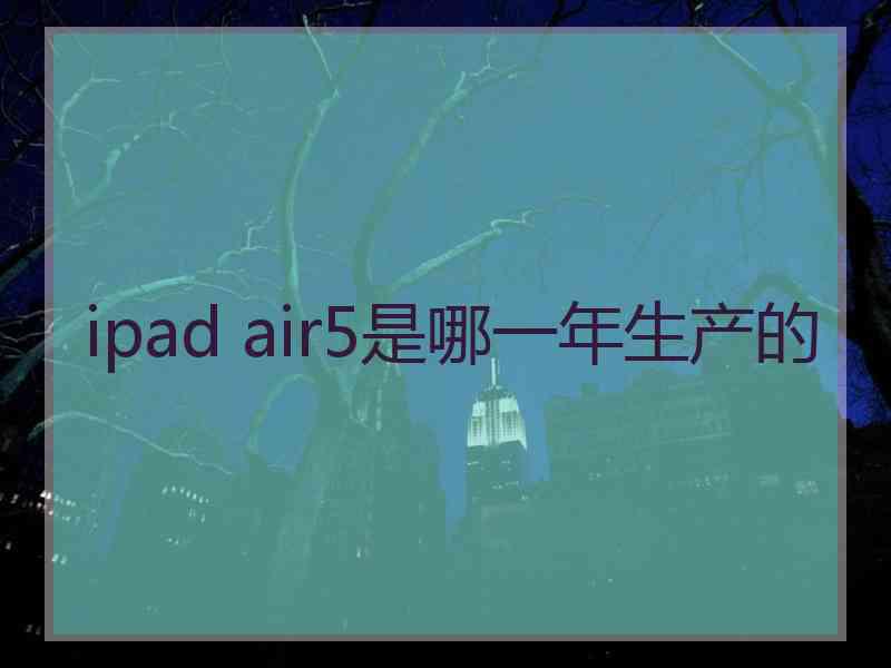 ipad air5是哪一年生产的