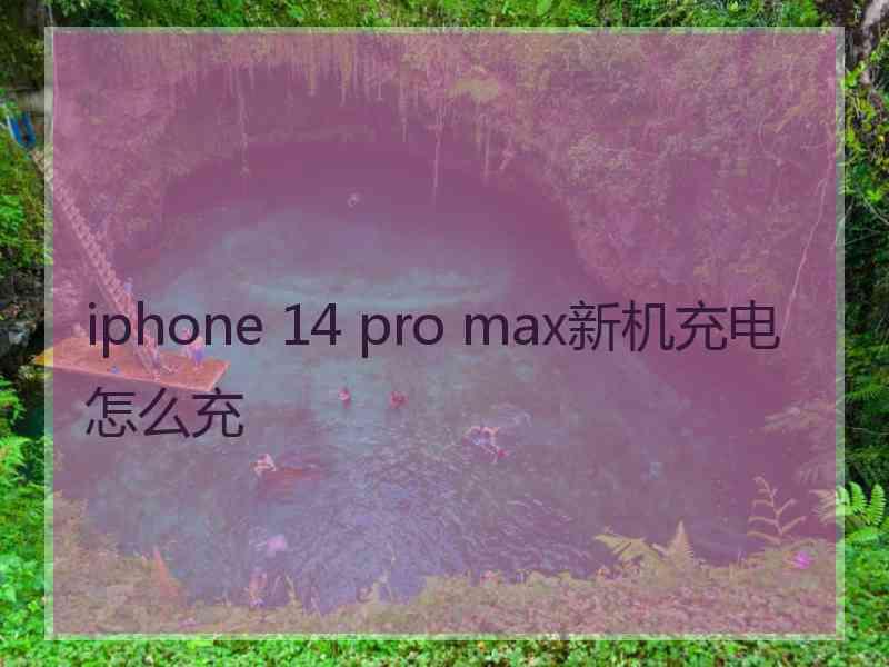 iphone 14 pro max新机充电怎么充