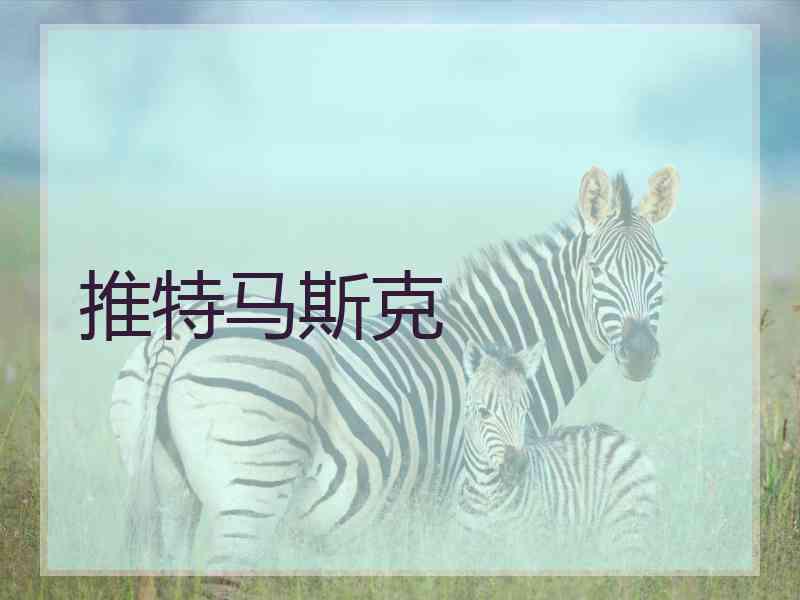 推特马斯克