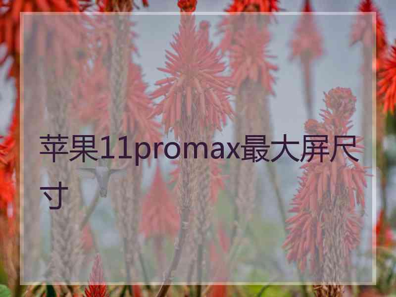 苹果11promax最大屏尺寸