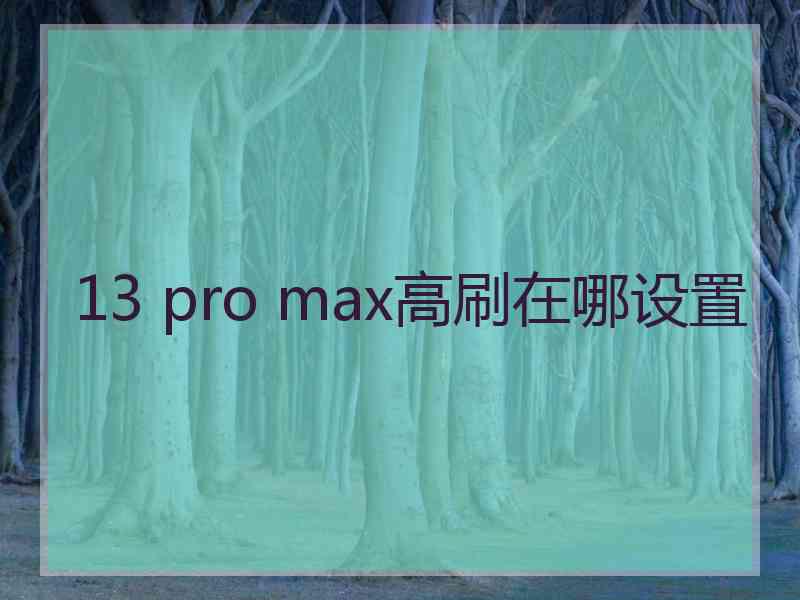 13 pro max高刷在哪设置