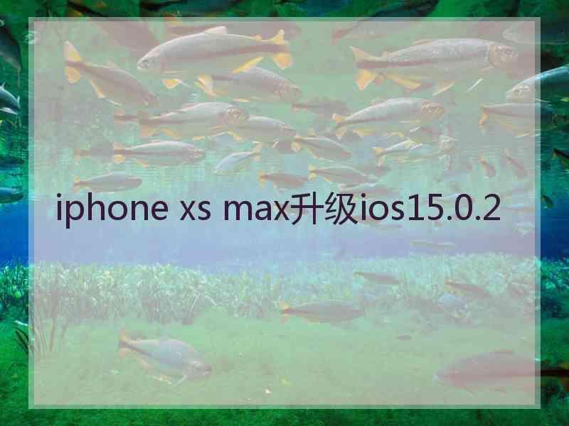 iphone xs max升级ios15.0.2