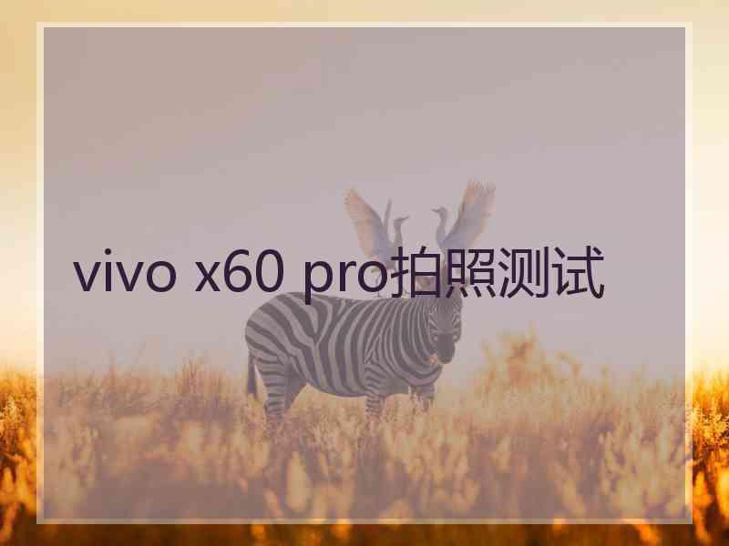 vivo x60 pro拍照测试