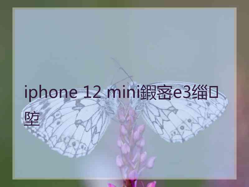 iphone 12 mini鍜宻e3缁埅