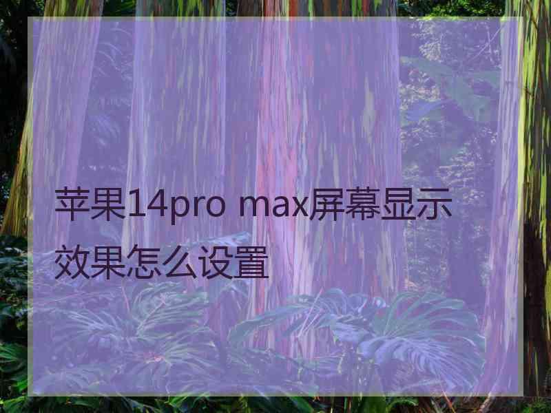 苹果14pro max屏幕显示效果怎么设置