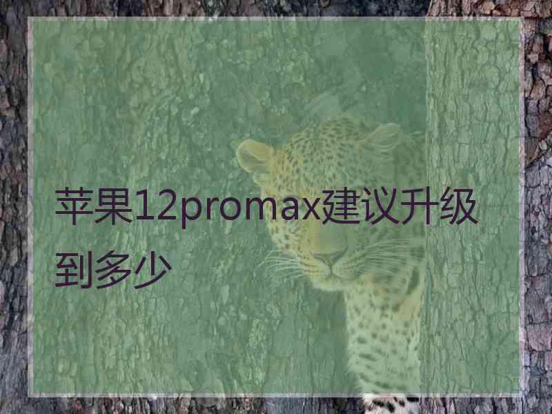 苹果12promax建议升级到多少