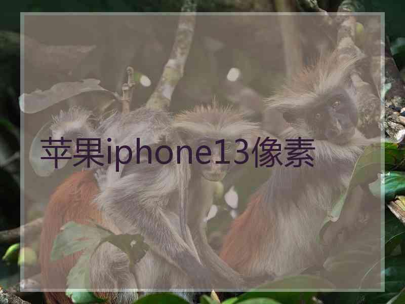 苹果iphone13像素