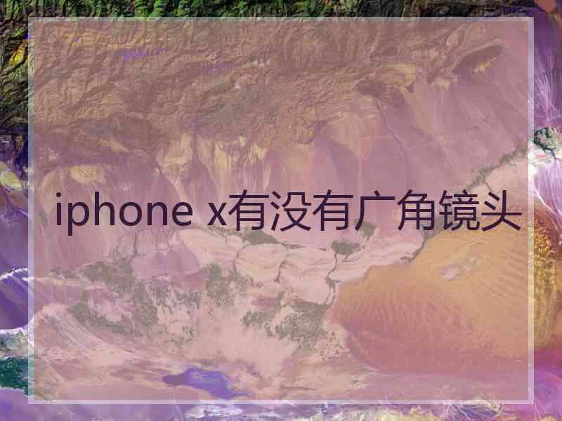 iphone x有没有广角镜头