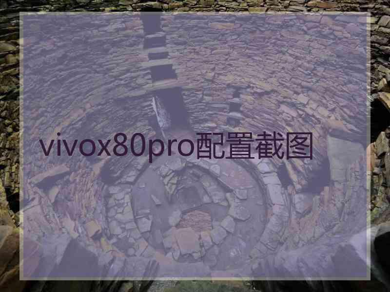 vivox80pro配置截图