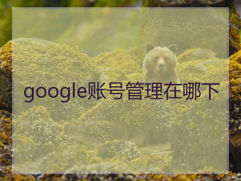 google账号管理在哪下