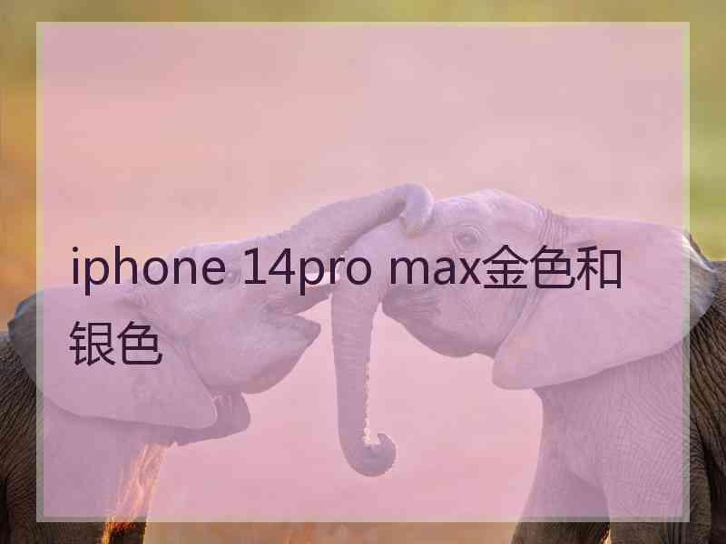 iphone 14pro max金色和银色