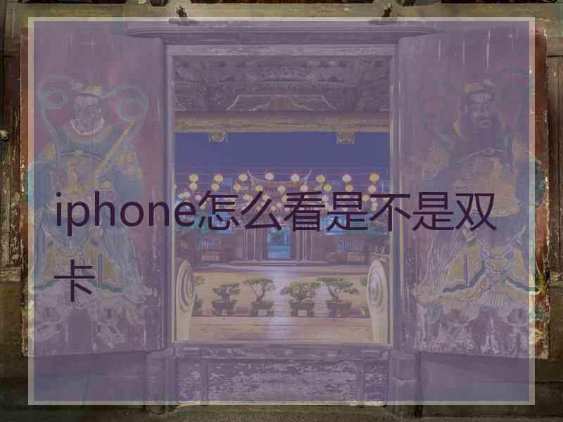 iphone怎么看是不是双卡