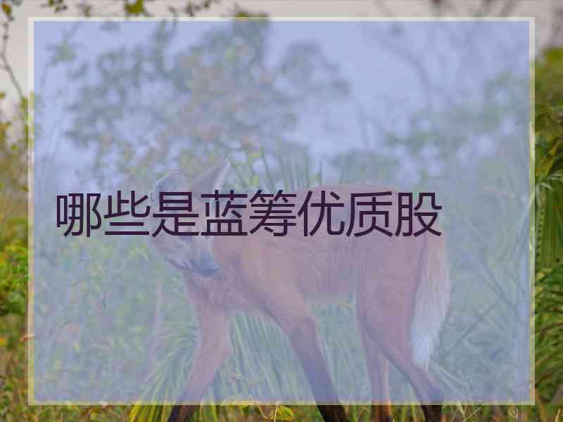 哪些是蓝筹优质股