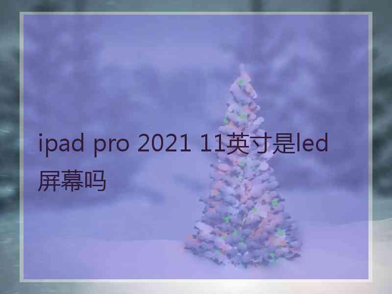 ipad pro 2021 11英寸是led屏幕吗