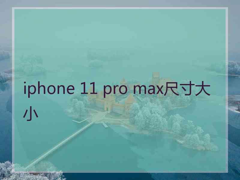 iphone 11 pro max尺寸大小