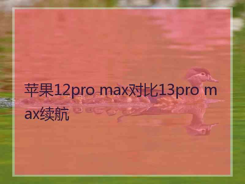 苹果12pro max对比13pro max续航