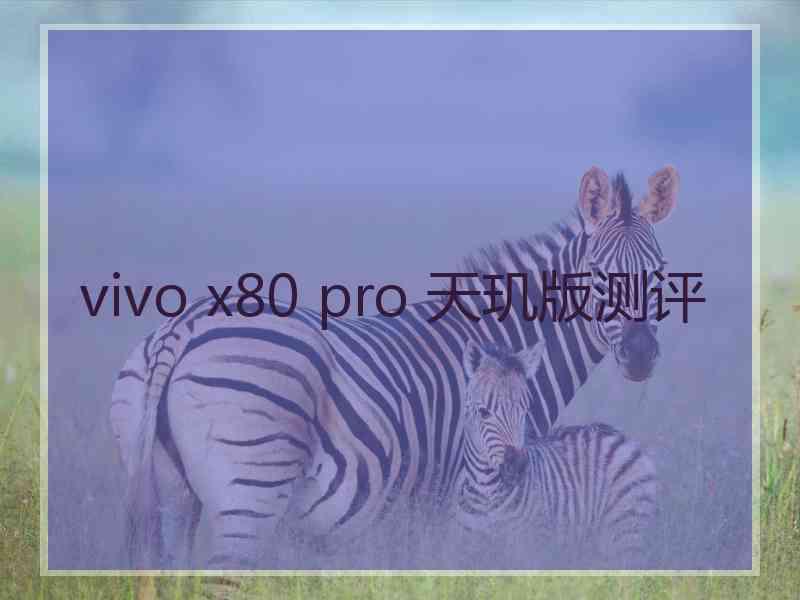 vivo x80 pro 天玑版测评