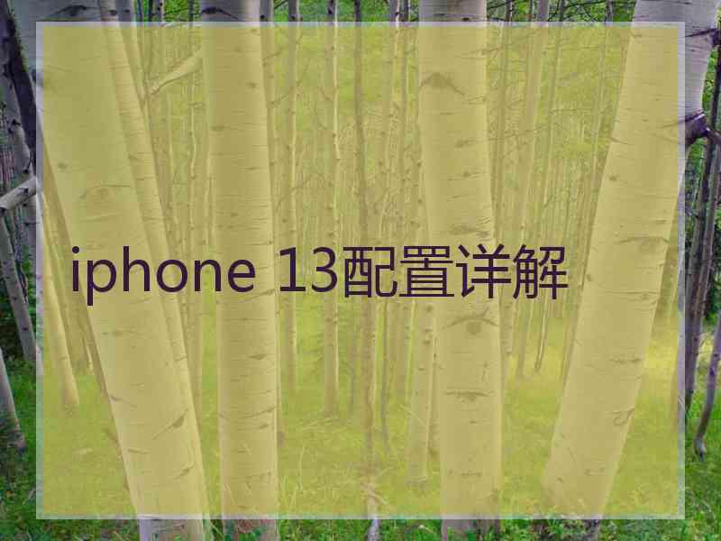 iphone 13配置详解