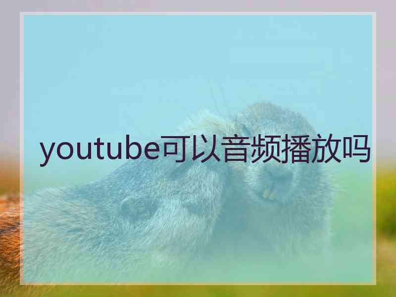 youtube可以音频播放吗