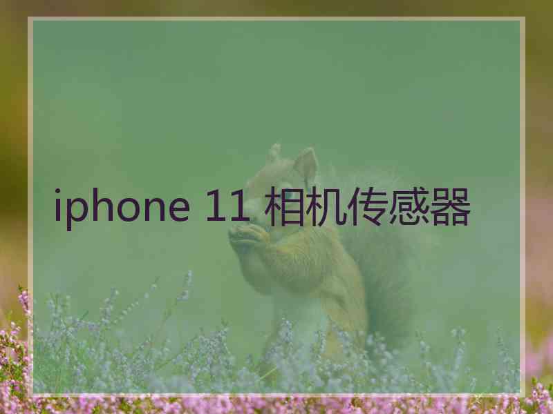 iphone 11 相机传感器