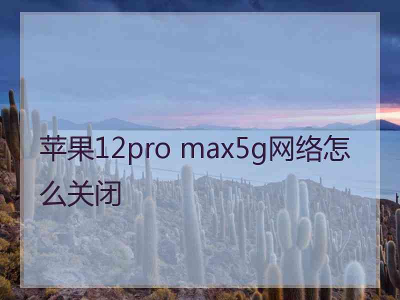 苹果12pro max5g网络怎么关闭