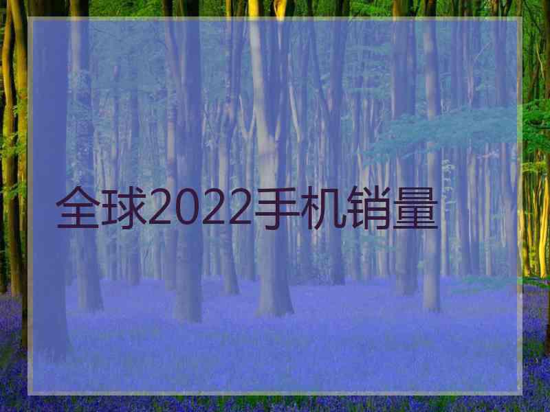 全球2022手机销量