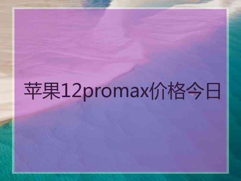 苹果12promax价格今日