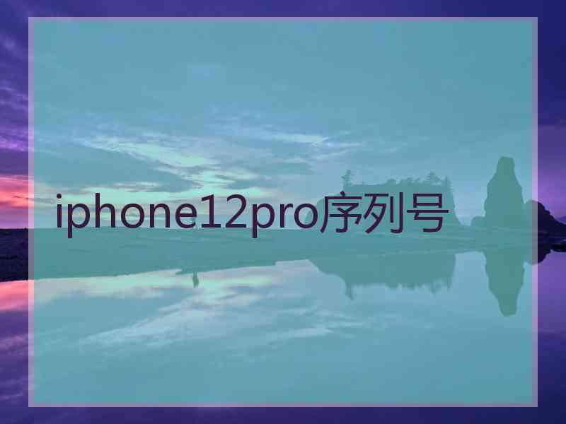 iphone12pro序列号