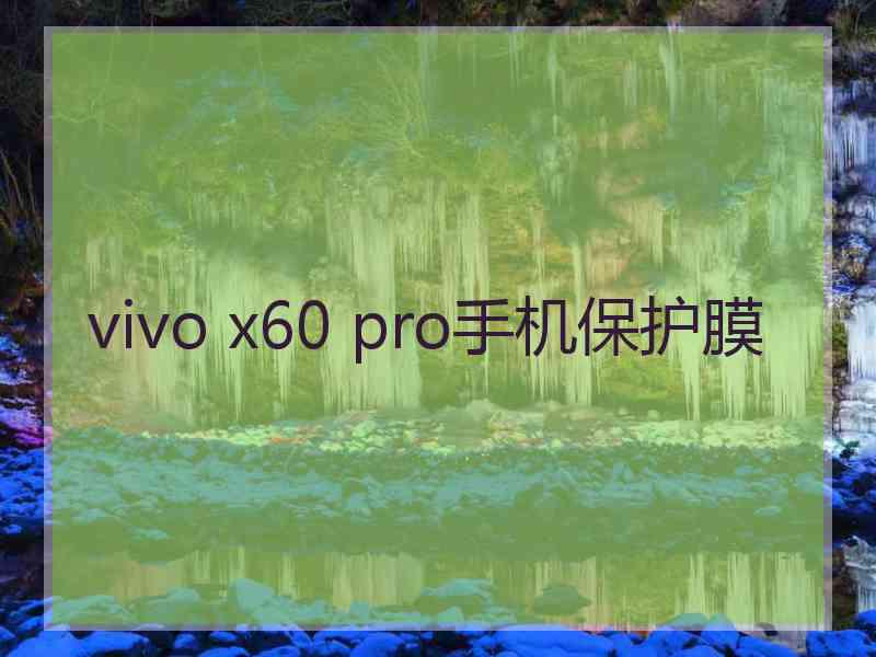 vivo x60 pro手机保护膜