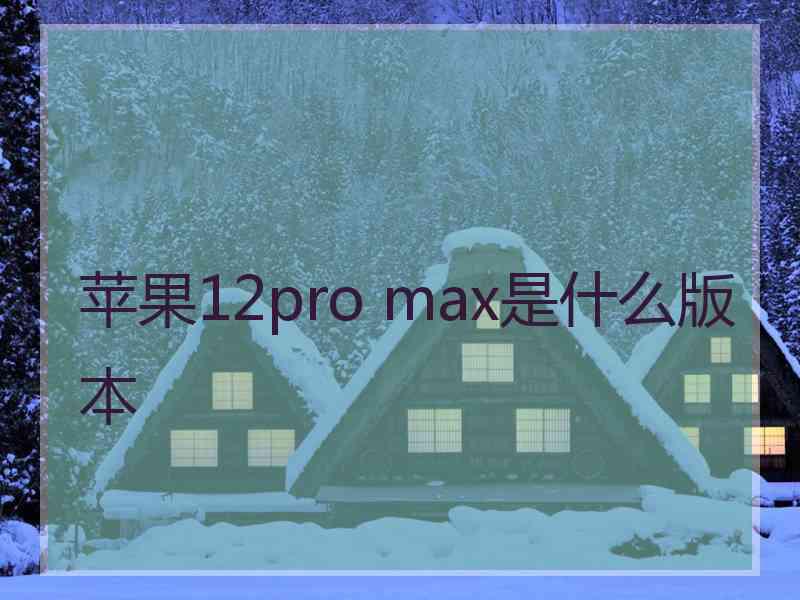 苹果12pro max是什么版本