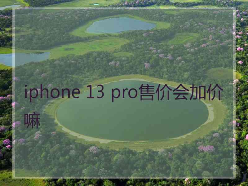 iphone 13 pro售价会加价嘛