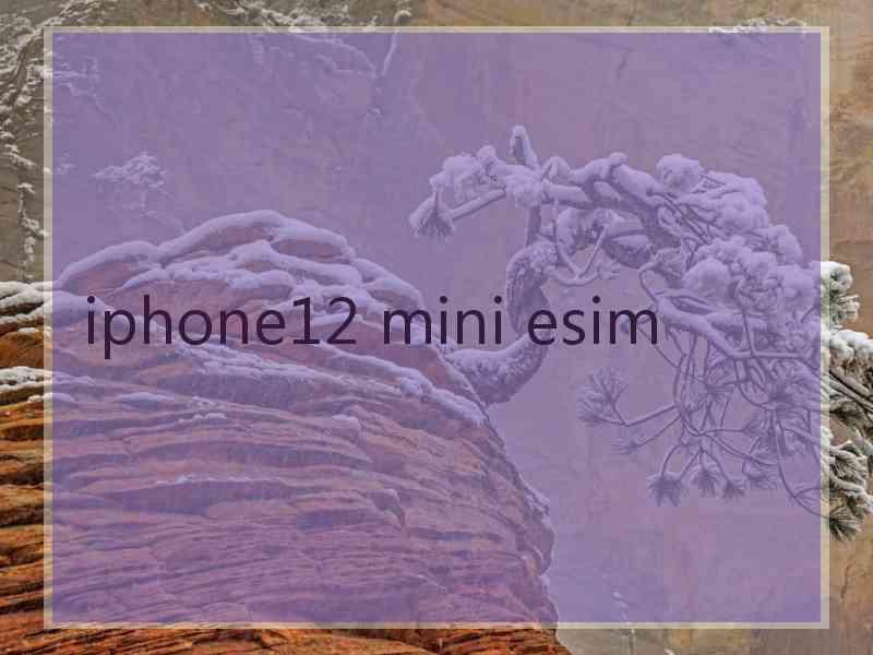 iphone12 mini esim