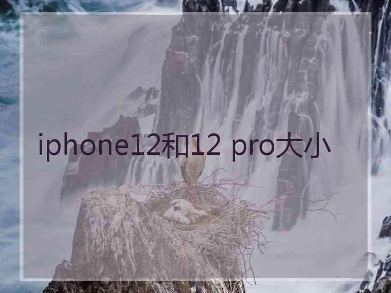 iphone12和12 pro大小