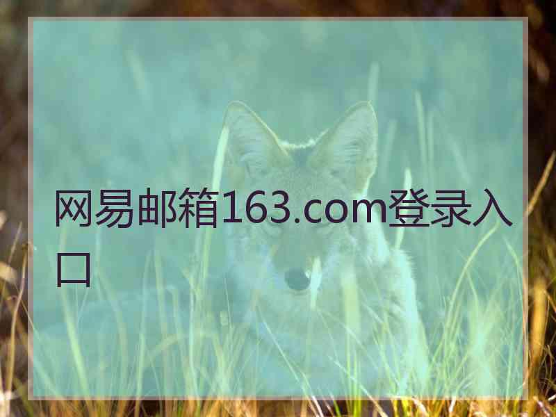 网易邮箱163.com登录入口