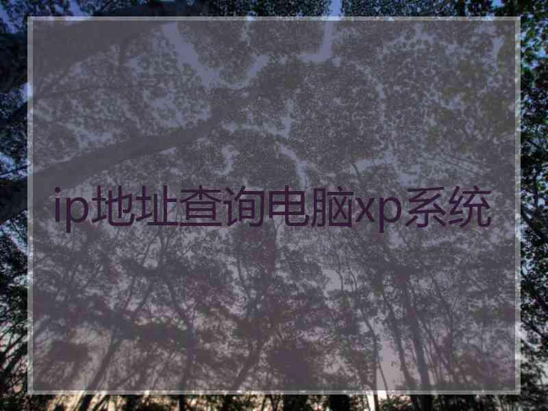 ip地址查询电脑xp系统