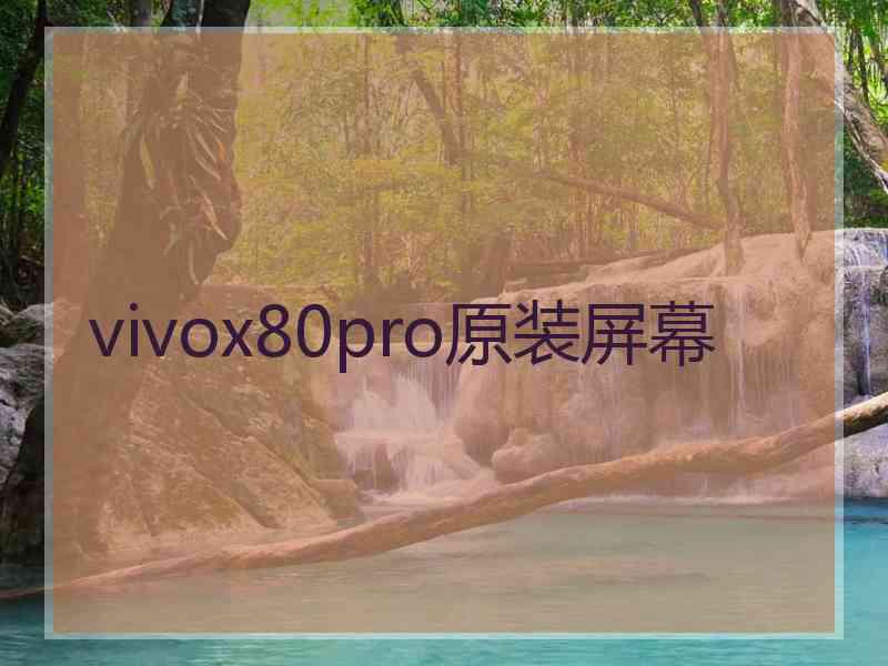 vivox80pro原装屏幕