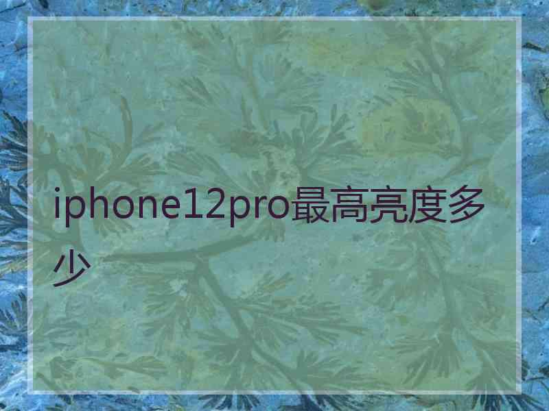 iphone12pro最高亮度多少