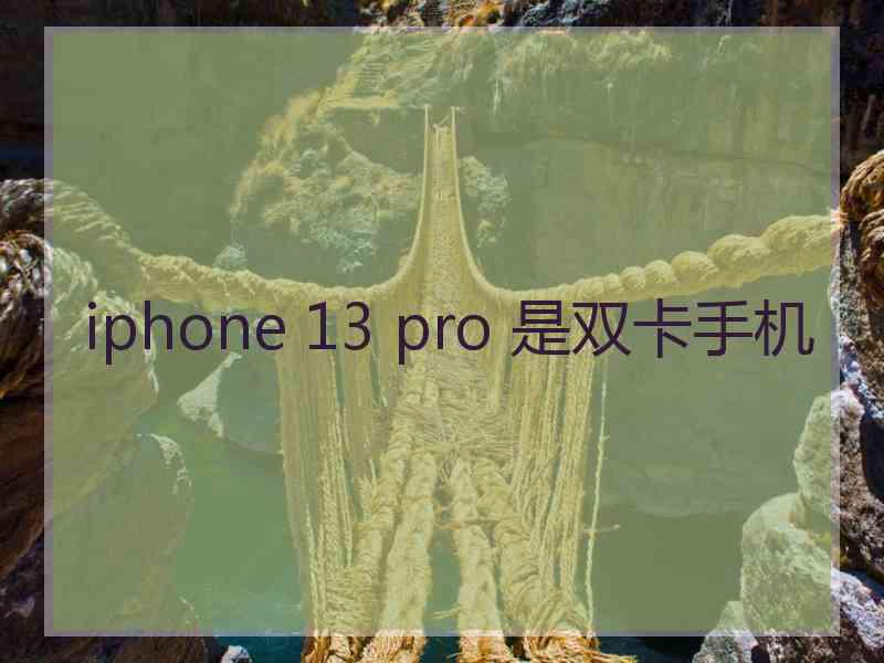 iphone 13 pro 是双卡手机