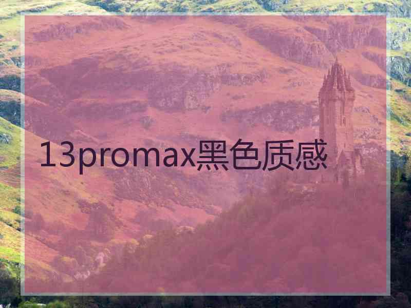 13promax黑色质感