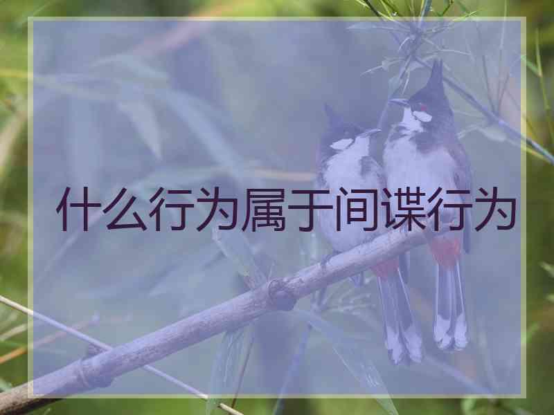 什么行为属于间谍行为