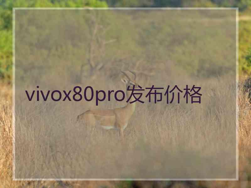 vivox80pro发布价格