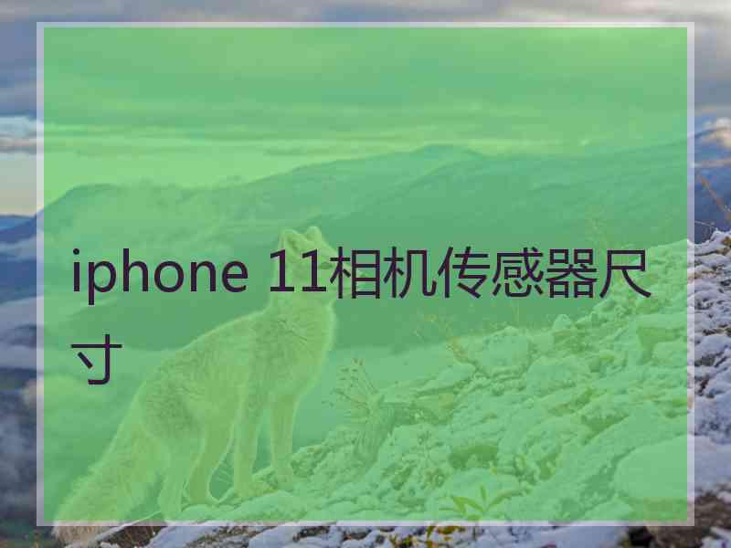 iphone 11相机传感器尺寸