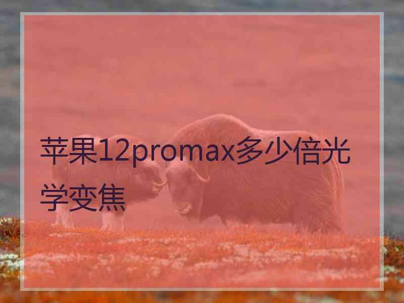 苹果12promax多少倍光学变焦