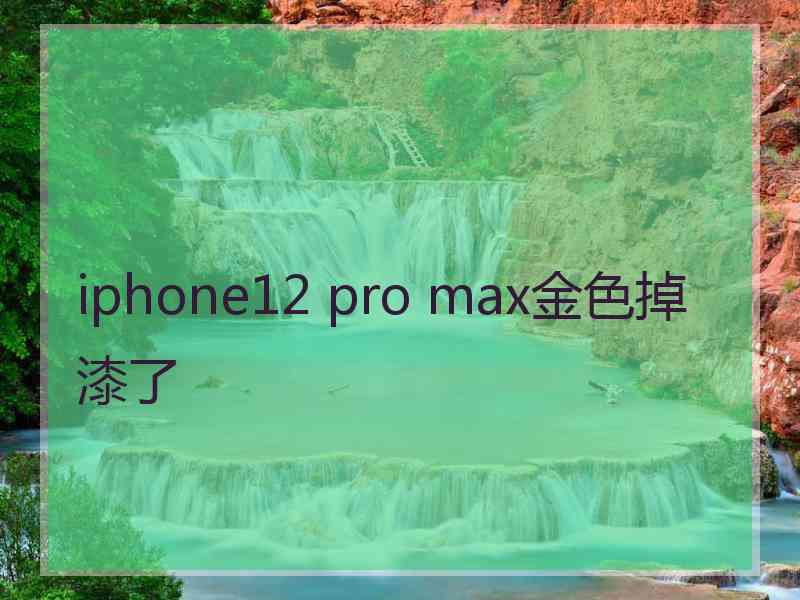 iphone12 pro max金色掉漆了