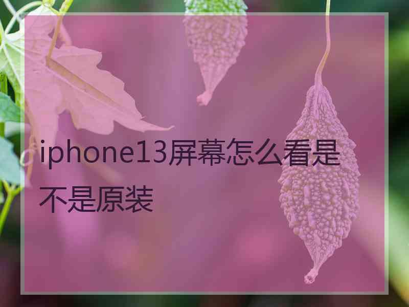 iphone13屏幕怎么看是不是原装