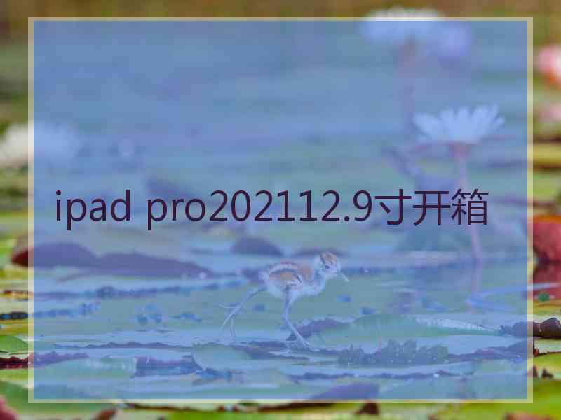 ipad pro202112.9寸开箱