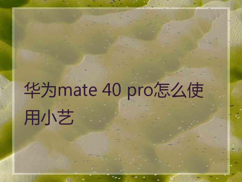 华为mate 40 pro怎么使用小艺