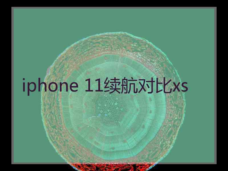 iphone 11续航对比xs