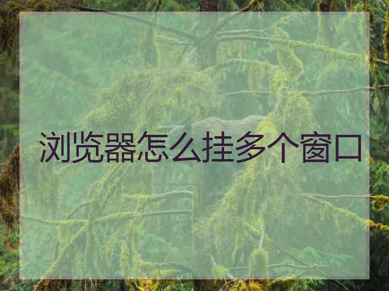 浏览器怎么挂多个窗口