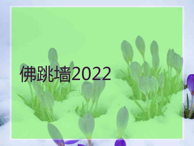 佛跳墙2022